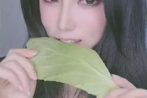 中国比较著名的抄袭案例pdf